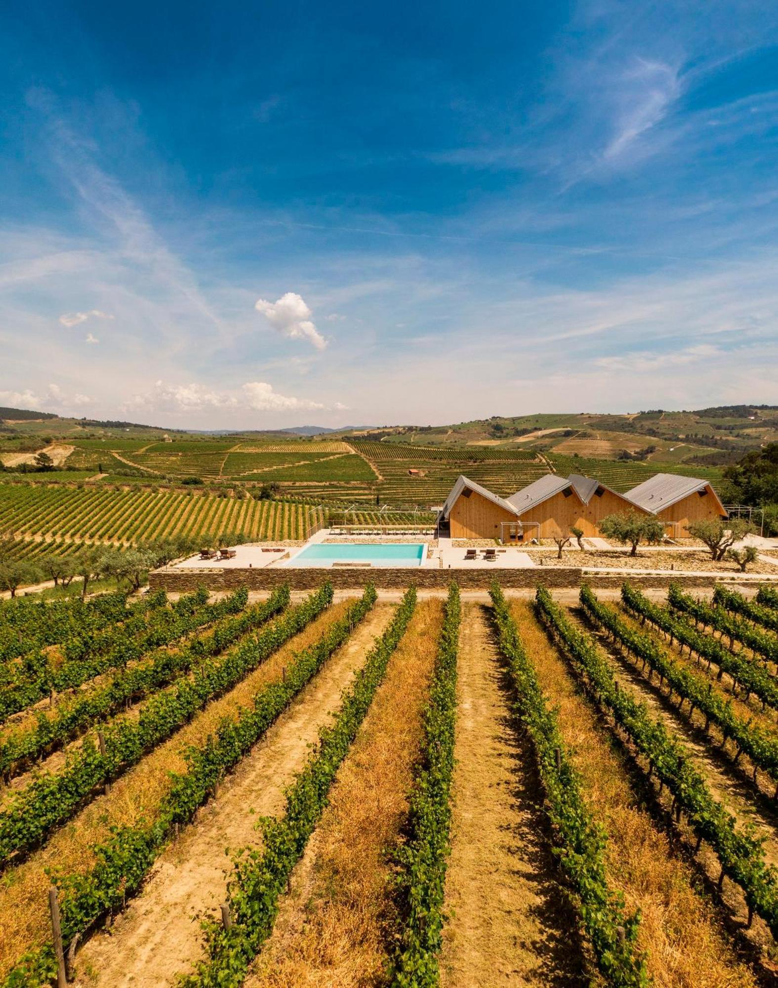 Villa Quinta Da Faisca - Agro Turismo Favaios Exterior foto